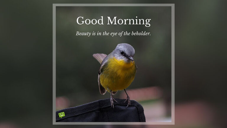 Good Morning Pictures With Birds For A Flying Start