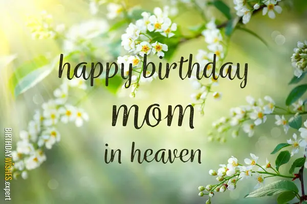 Happy Birthday Mom In Heaven