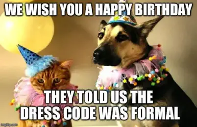 Top 0 Original And Funny Happy Birthday Memes