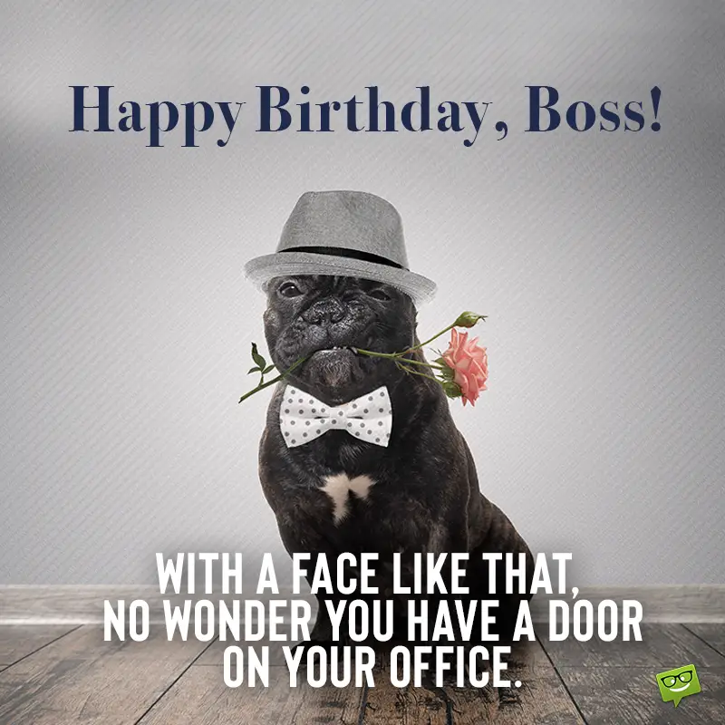 Søjle Frastødende Intuition Happy Birthday Wishes for your Boss | Professionally Yours