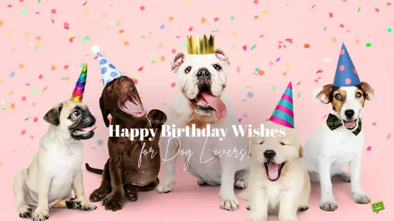 30 Heartwarming and Hilarious Birthday Wishes for Dog Lovers