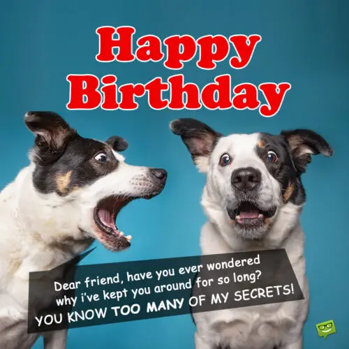 Huge List of Funny Birthday Quotes | Cracking Jokes