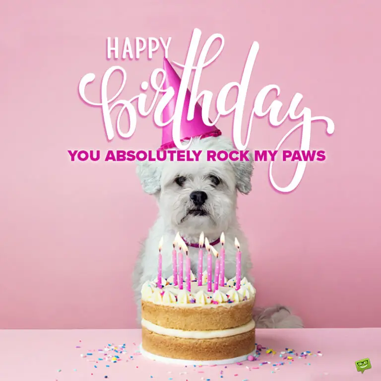 104 Happy Birthday Images for Free Download & Sharing