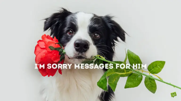 40 I’m Sorry Messages for Him to…