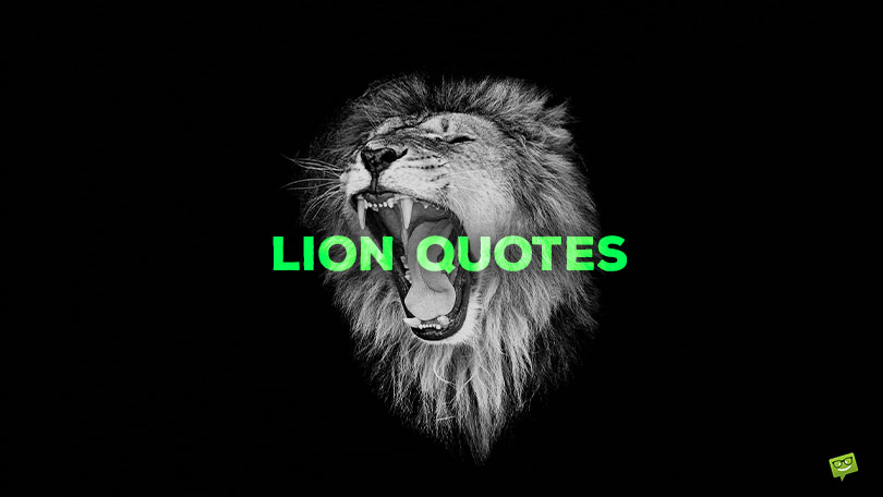 72 Lion Quotes to Make Us All Roar Fiercely