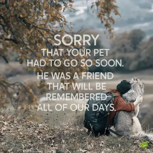 Sympathy message for loss of a pet.