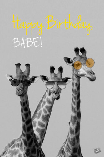 Funny-Giraffes-Happy-Birthday-Babe