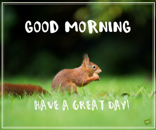 good-morning-pic-with-cute-squirrel