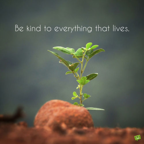 Beautiful quotes about kindness