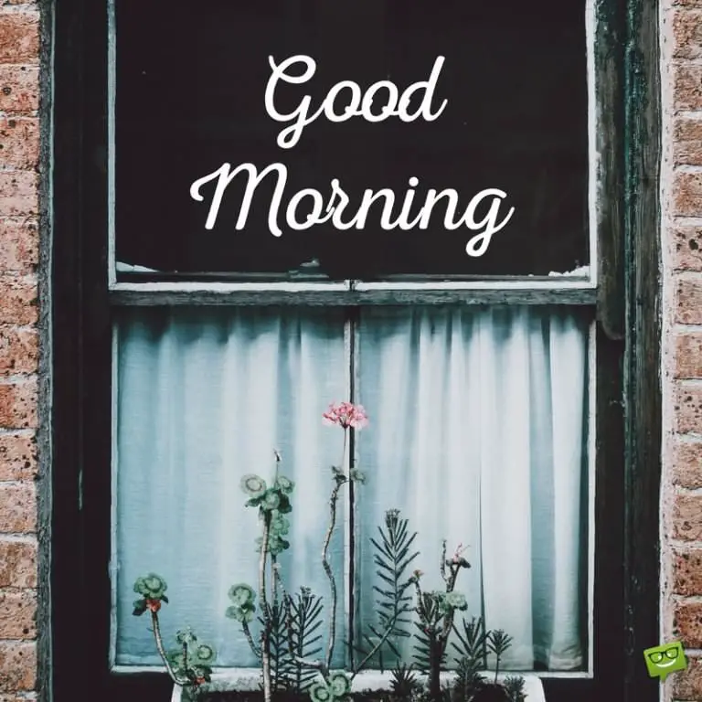 34 Brilliant Good Morning Quotes to Make your Day!