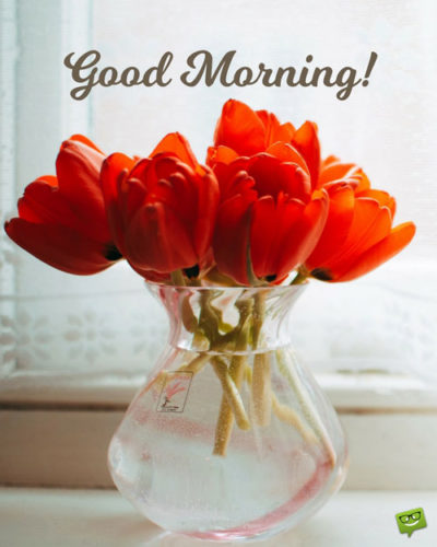 Start your day with a smile - Floral Cards