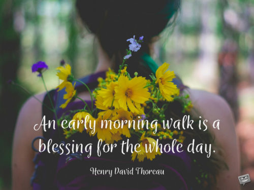 Henry D Thoreau Quotes To Live By