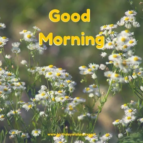 Hello, Good Morning! | Best Good Morning Textes - Part 2