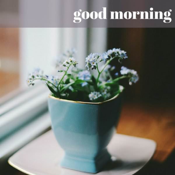 18 Good Morning Cards to Brighten your Timeline - 600 x 600 jpeg 26kB