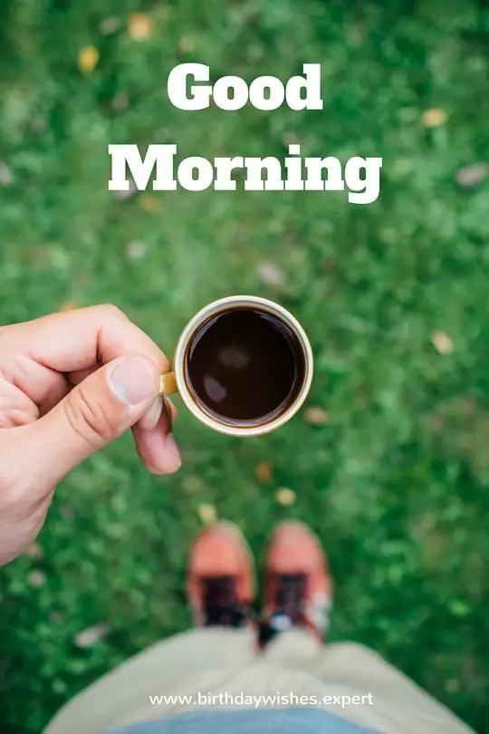 15 Good Morning Images for Free Download