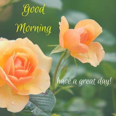 good morning have a nice day rose