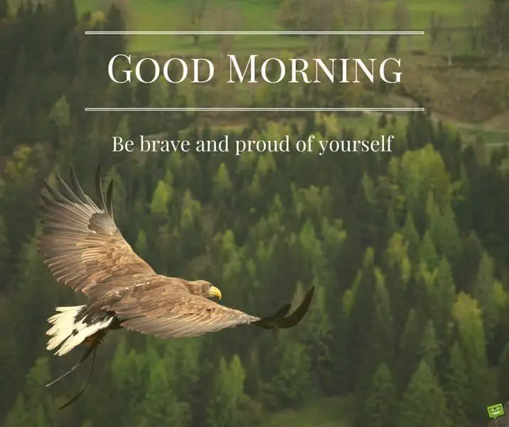 15 Optimistic Good Morning Cards