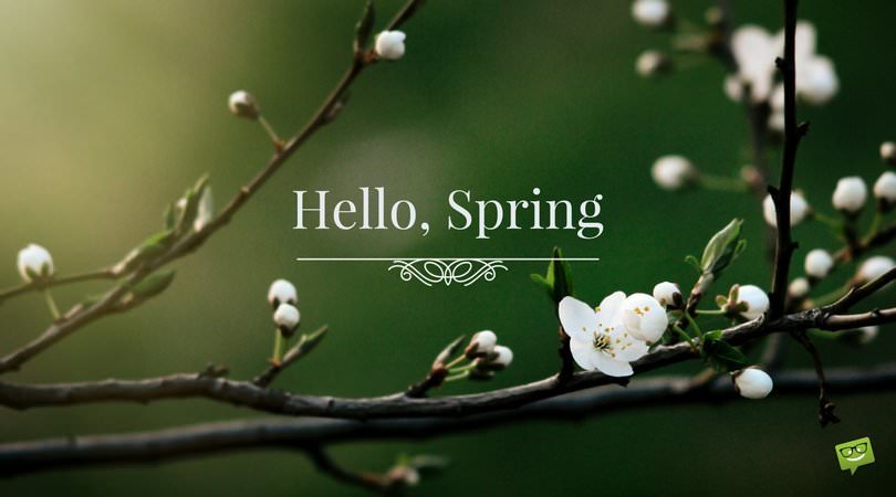 Hello-Spring-quote-on-picture-with-white
