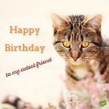 Birthday Images for a Friend | An Amazing Card to Share