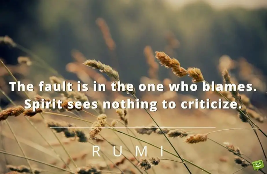 The fault is in the one who blames. Spirit sees nothing to criticize. Rumi