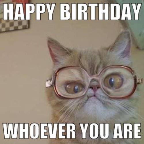 24 Cat Memes to Help You Celebrate and Wish Happy Birthday