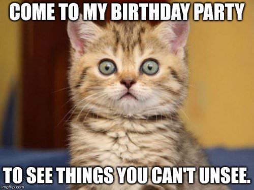 Top 200+ Original and Funny Happy Birthday Memes