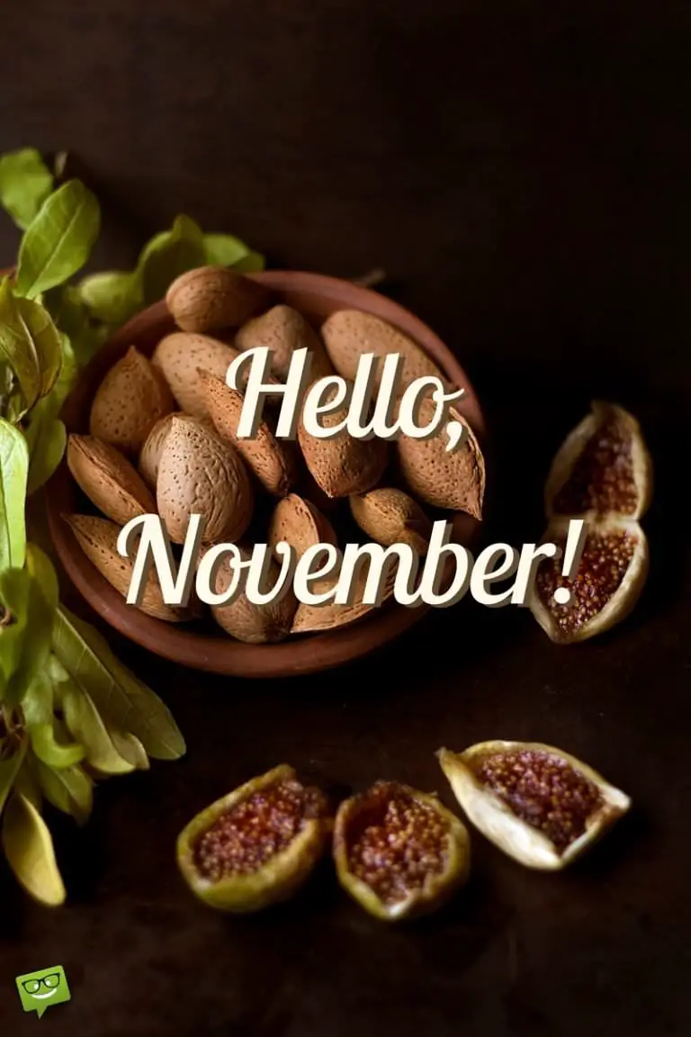 Hello, November! | Quotes For The Month Of Gratitude