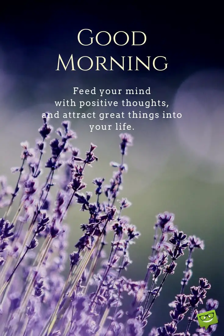 Fresh Inspirational Good Morning Quotes for the Day | Get on the Right