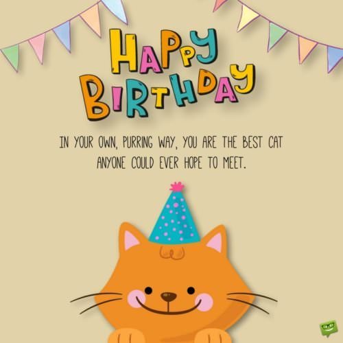 Happy Birthday Kitty Purry Wishes For And With Cats