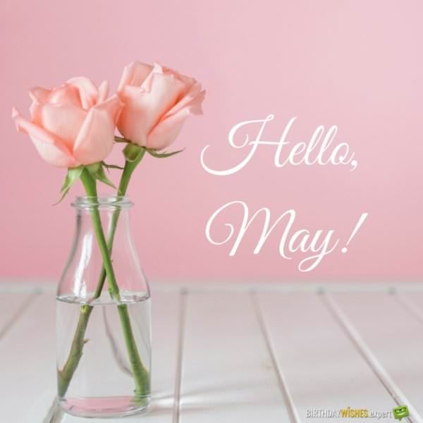 Hello, May  Quotes About Spring in Bloom