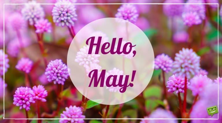 50 Hello May Quotes and Images to Greet Spring in Bloom