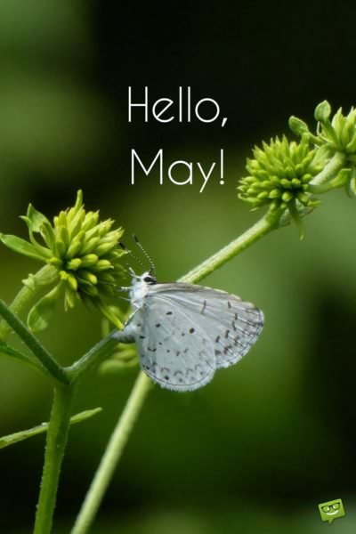 Hello, May | Quotes About Spring in Bloom - Part 2