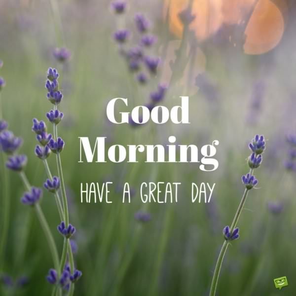 Have a Beautiful Day | Good Morning Quotes on Pictures