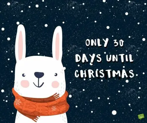 A Christmas Countdown | How Long Until December 25th?