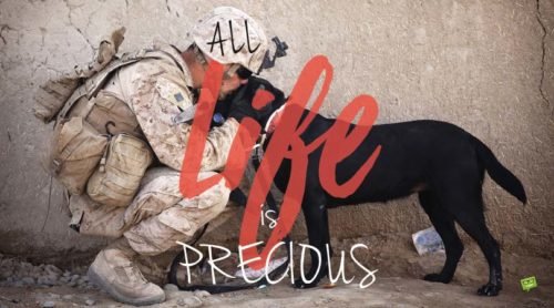 All life is precious.