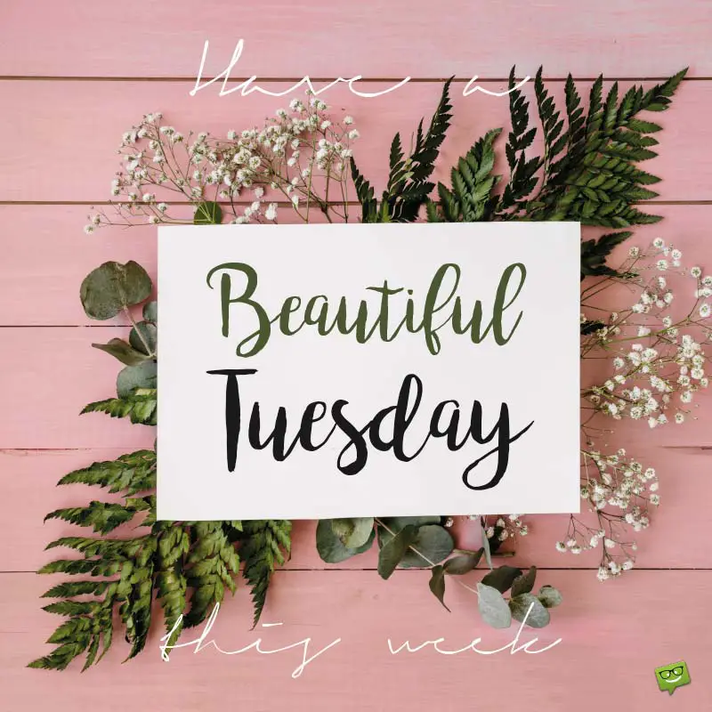 Happy Tuesday | Famous Quotes about Tuesday