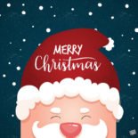 250 Merry Christmas Wishes + Cute Season's Cards to Share