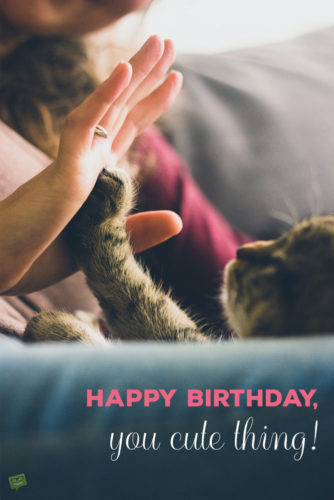 65 Cute Cat Birthday Wishes For A Purry Happy Birthday!