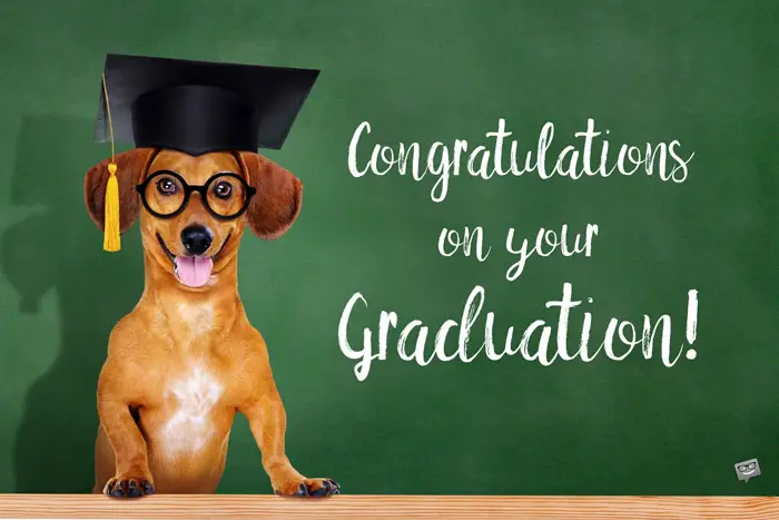 Congratulations on your graduation.