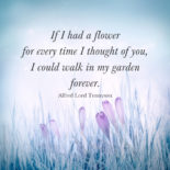 100 Meaningful Quotes About Losing a Loved One