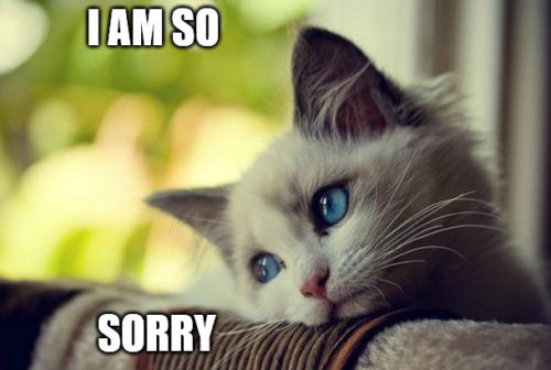 I Am Sorry : 50 Apology Messages and I Am Sorry Memes