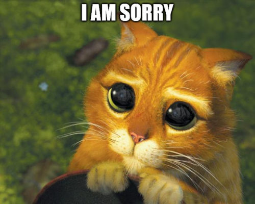 I Am Sorry : 50 Apology Messages and I Am Sorry Memes