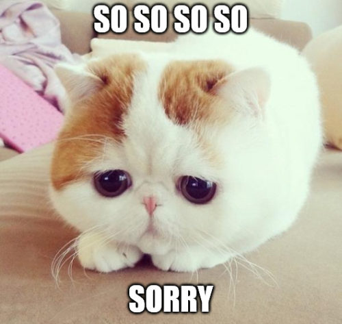 I Am Sorry : 50 Apology Messages and I Am Sorry Memes