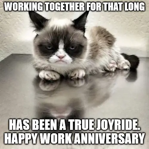 Office Work Anniversary Meme