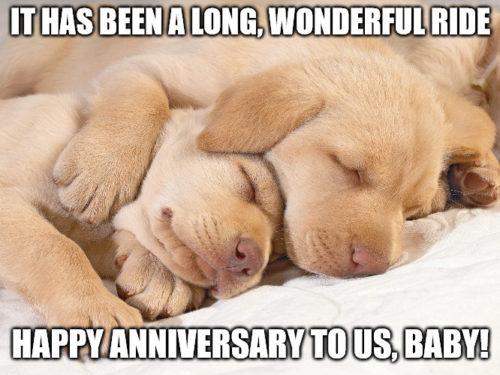 Funny Happy Anniversary Messages For All 25 best memes about 30th wedding. funny happy anniversary messages for all