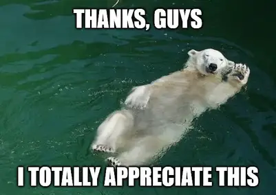 40 Thank You Memes To Share And Show Your Gratitude