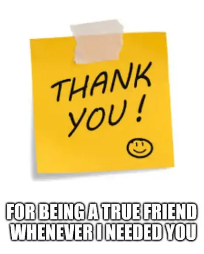 40 Thank You Memes To Share And Show Your Gratitude