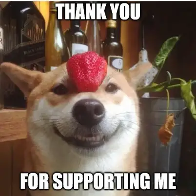 40 Thank You Memes To Share And Show Your Gratitude