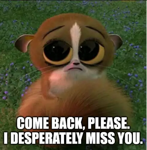 30 Funny I Miss You Memes