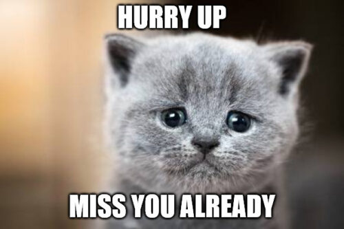 30 Funny I Miss You Memes